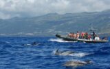aventure océan Atlantique