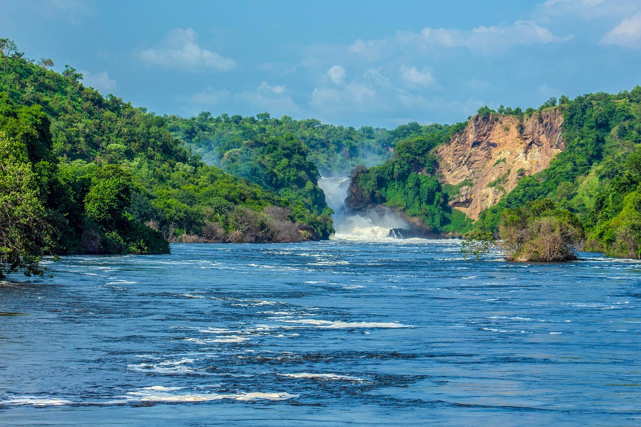 parc national  d’Ouganda