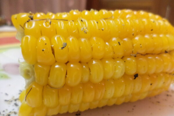 alimentation du Costa Rica