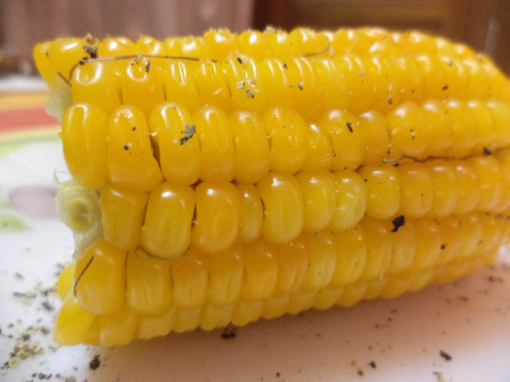 alimentation du Costa Rica