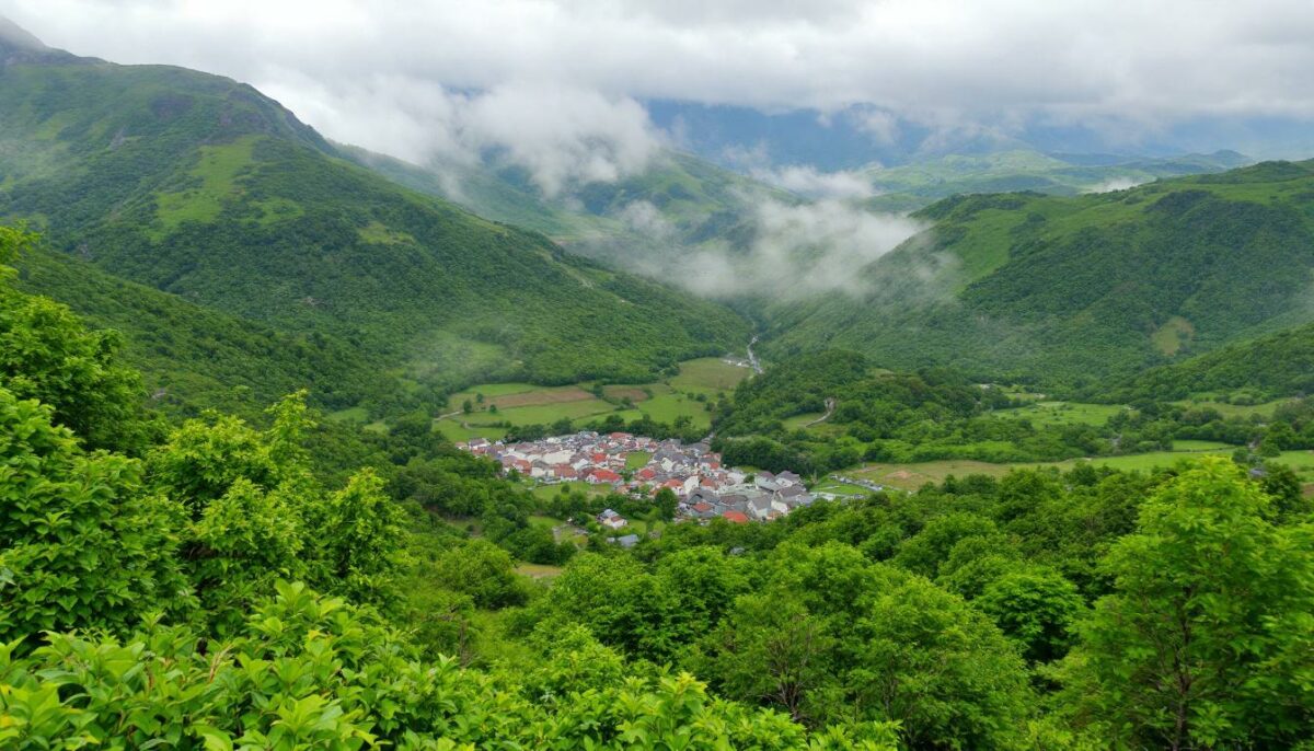 découvrez comment sélectionner le meilleur mandataire auto citroën parmi les top offres, pour bénéficier des meilleurs prix et services adaptés à vos besoins.