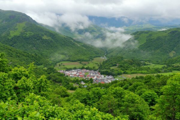 découvrez comment sélectionner le meilleur mandataire auto citroën parmi les top offres, pour bénéficier des meilleurs prix et services adaptés à vos besoins.