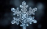 découvrez comment capturer l'éclat éphémère des flocons de neige au microscope grâce à des techniques de photographie fascinantes et une immersion dans la beauté unique de chaque cristal.
