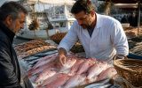 découvrez nos astuces essentielles pour choisir un veau de mer frais et de qualité au marché, afin de préparer des plats savoureux et sains.
