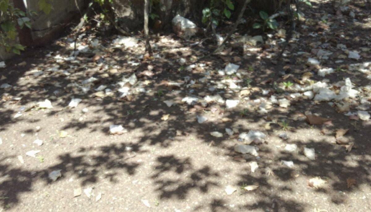 découvrez les meilleurs sites pour louer des vacances à collonges-la-rouge à petit prix et profitez d'un séjour inoubliable dans ce village classé parmi les plus beaux de france.