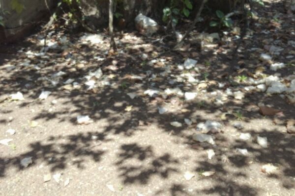 découvrez les meilleurs sites pour louer des vacances à collonges-la-rouge à petit prix et profitez d'un séjour inoubliable dans ce village classé parmi les plus beaux de france.