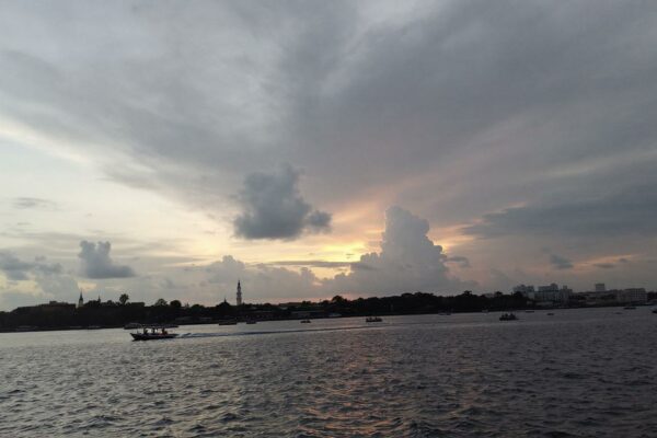 découvrez comment un compte professionnel en ligne performant peut simplifier et optimiser la gestion de votre scop, pour une administration efficace et sécurisée.