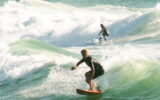 surf