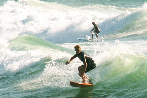 surf