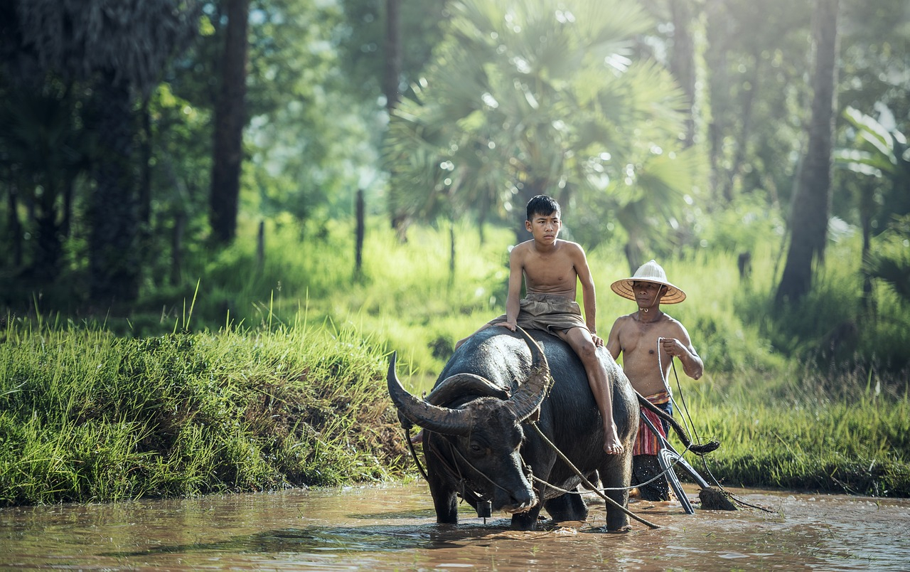 écotourisme vietnam