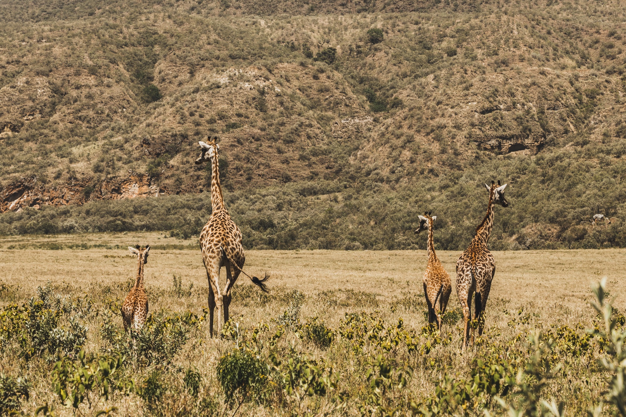 aventure tanzanienne