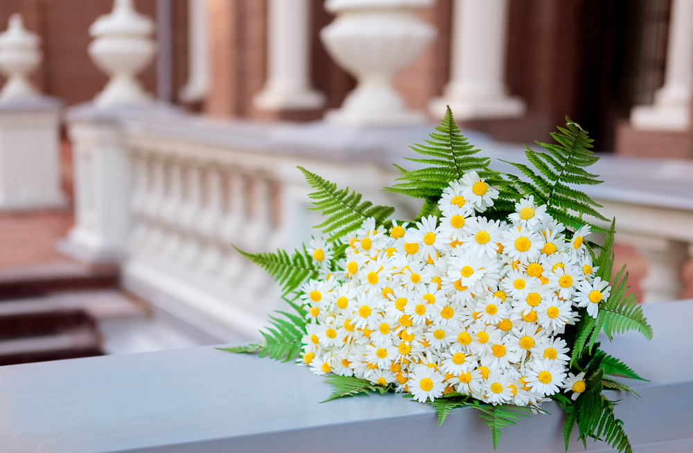 fleurs st valentin