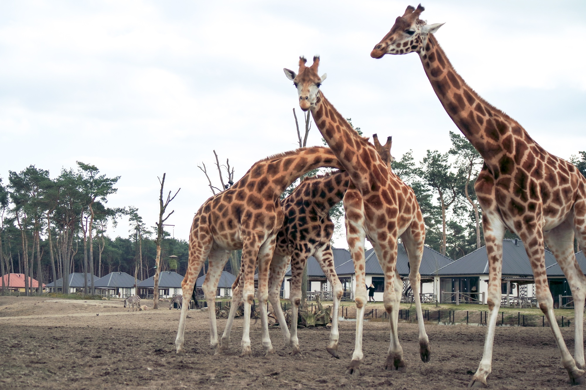 Nairobi en famille