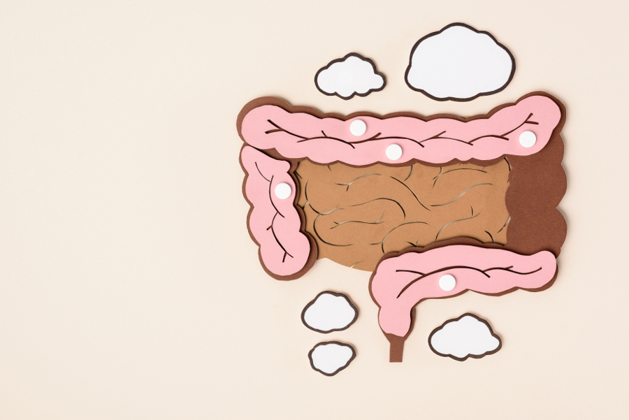 infection intestinale