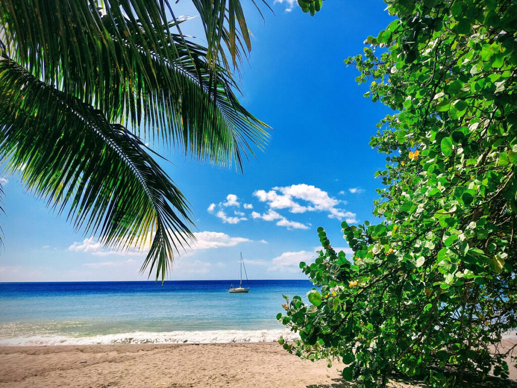 plage martinique