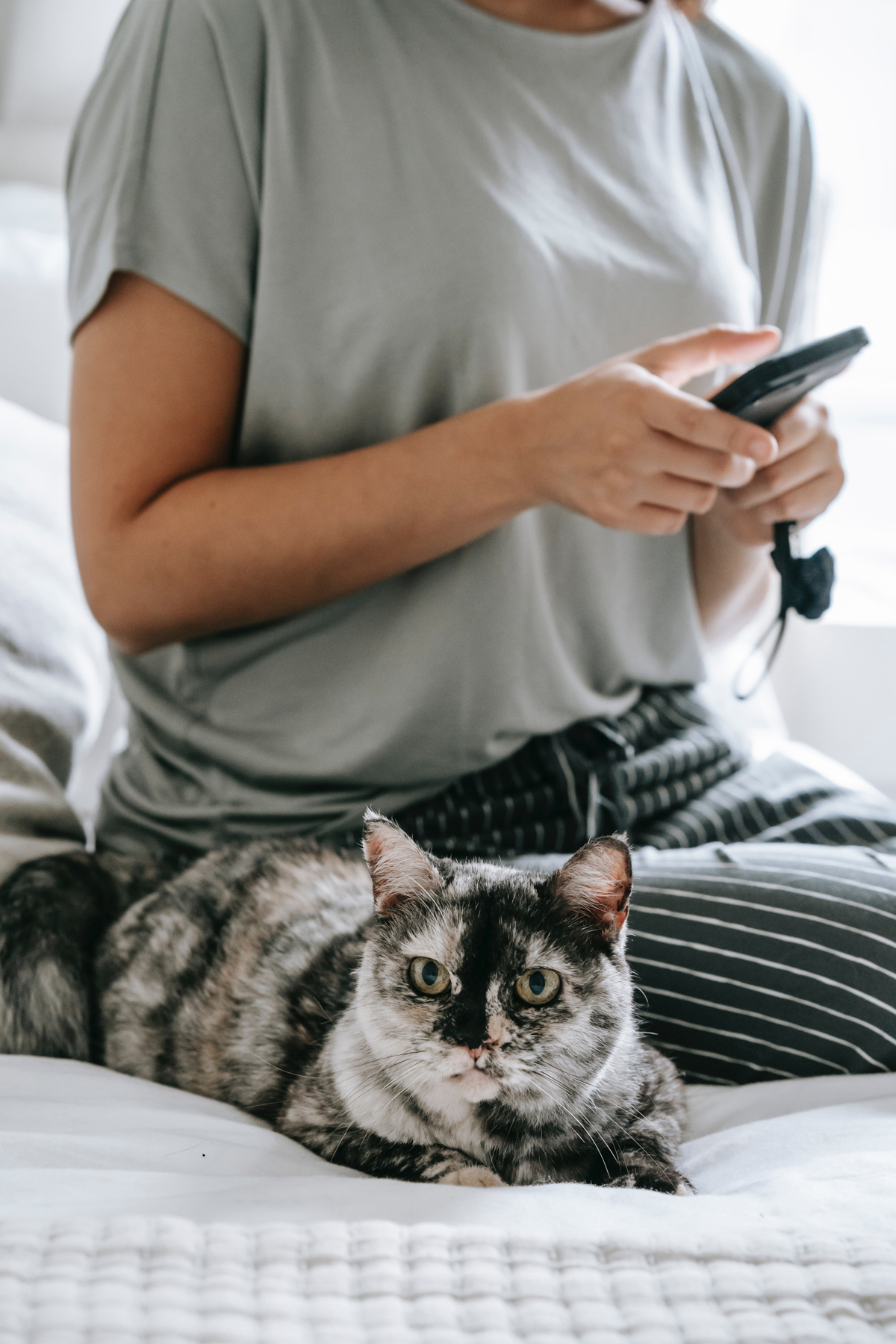 prénom choisir pour une chatte noire