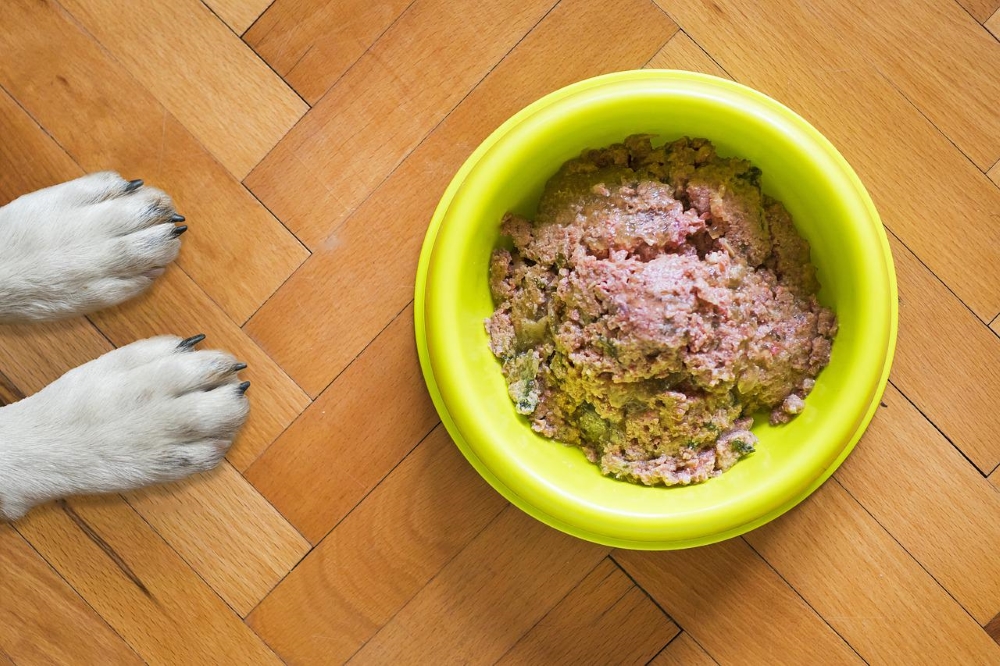 recette pour chien