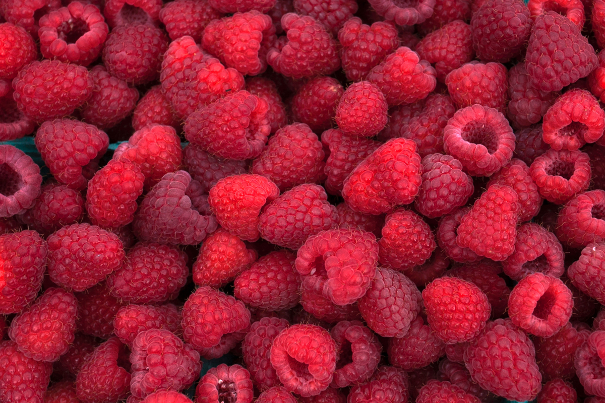 smoothie avec des fruits congelés